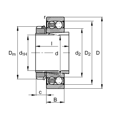 {S 2210-K-2RS-TVH-C3 + H310,  DIN 630  DIN 5415 ˜ʵҪߴ, F׺;oףɂȴܷ